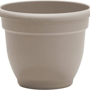 Bloem Ariana Self Watering Planter: 12" - Pebble Stone - Durable Resin Pot, for Indoor and Outdoor Use, Self Watering Disk Included, Gardening, 3 Gallon Capacity