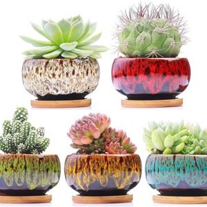 Cute Ceramic Succulent Garden Pots, Planter with Drainage and Attached Saucer, Set of 5 -Plants Not Included (Round)