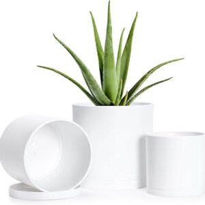 D'vine Dev 4 Inch 5 Inch 6 Inch, Set of 3 Plastic Planter Pots for Plants with Drainage Hole and Seamless Saucers, White Color, Small, 74-V-A-1