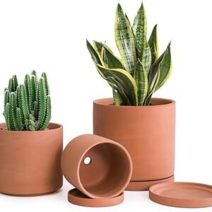 D'vine Dev Terracotta Pots for Plants, 4.2 Inch 5.3 Inch 6.5 Inch, Succulent Planter Pot with Drainage and Saucer, 40-T-A-0