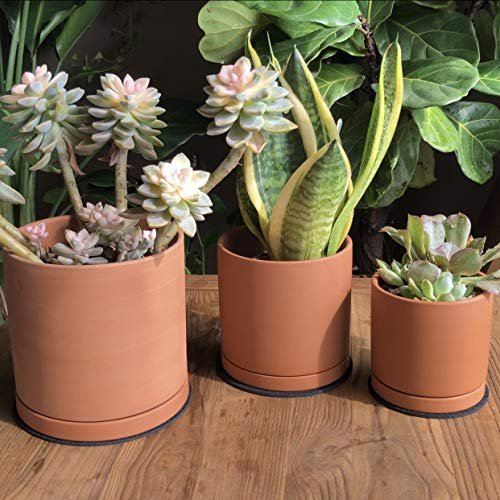 D'vine Dev Terracotta Pots for Plants, 4.2 Inch 5.3 Inch 6.5 Inch, Succulent Planter Pot with Drainage and Saucer, 40-T-A-0