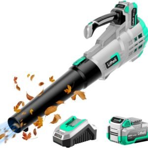 Litheli 20V Cordless, 350 CFM 85 MPH Battery , Variable Speeds Leaf Blower for Cleaning Leaves, Dust, Snow, Lawn, Yard, 4.0Ah Battery & Fast Charger Included